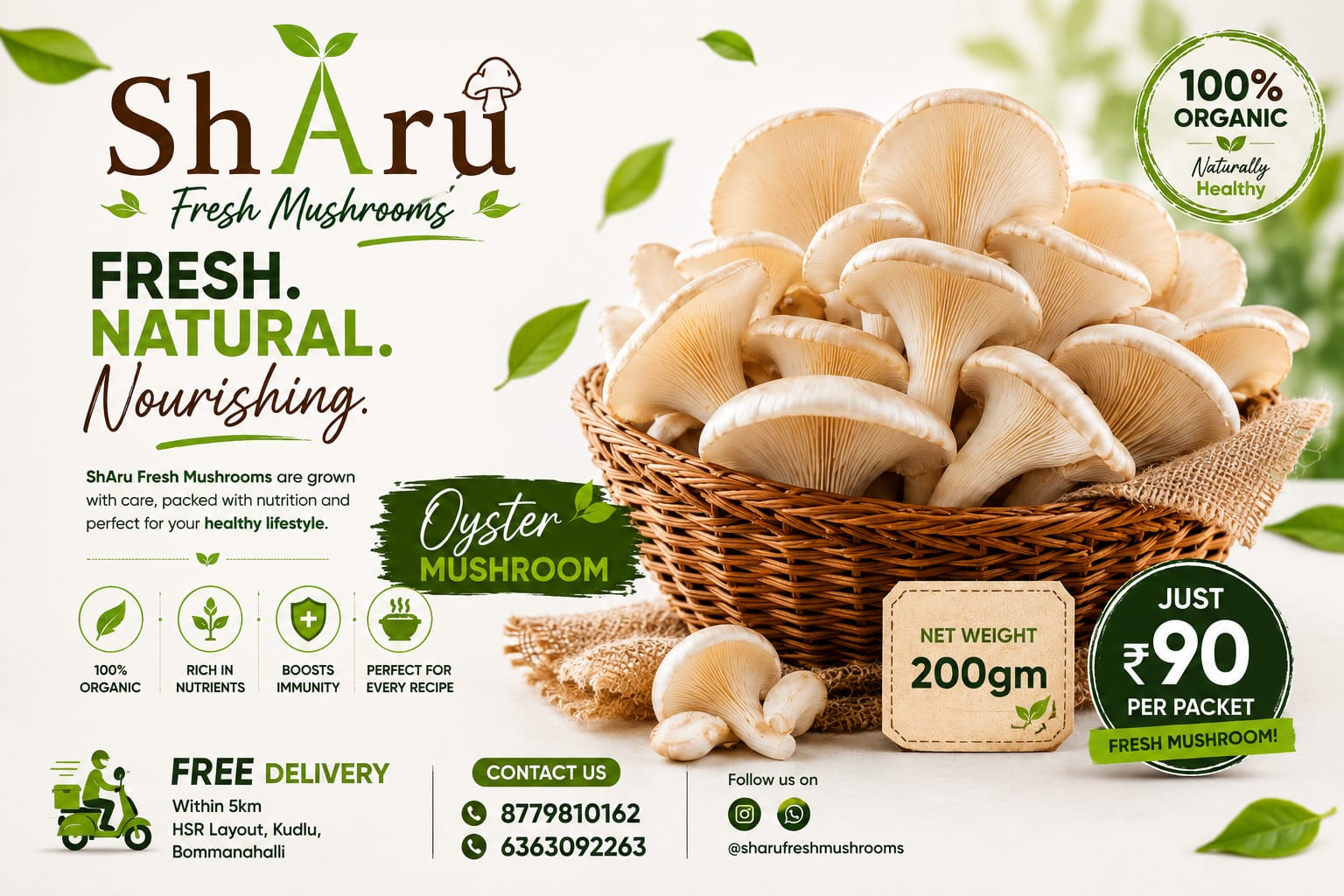 Oyster Mushrooms